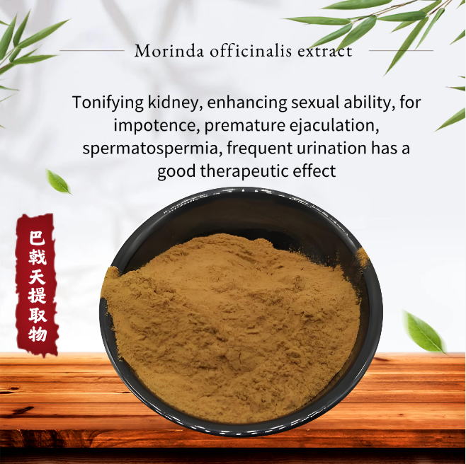 Organic healthcare supplement Chinese herb powder Morinda officinalis extract