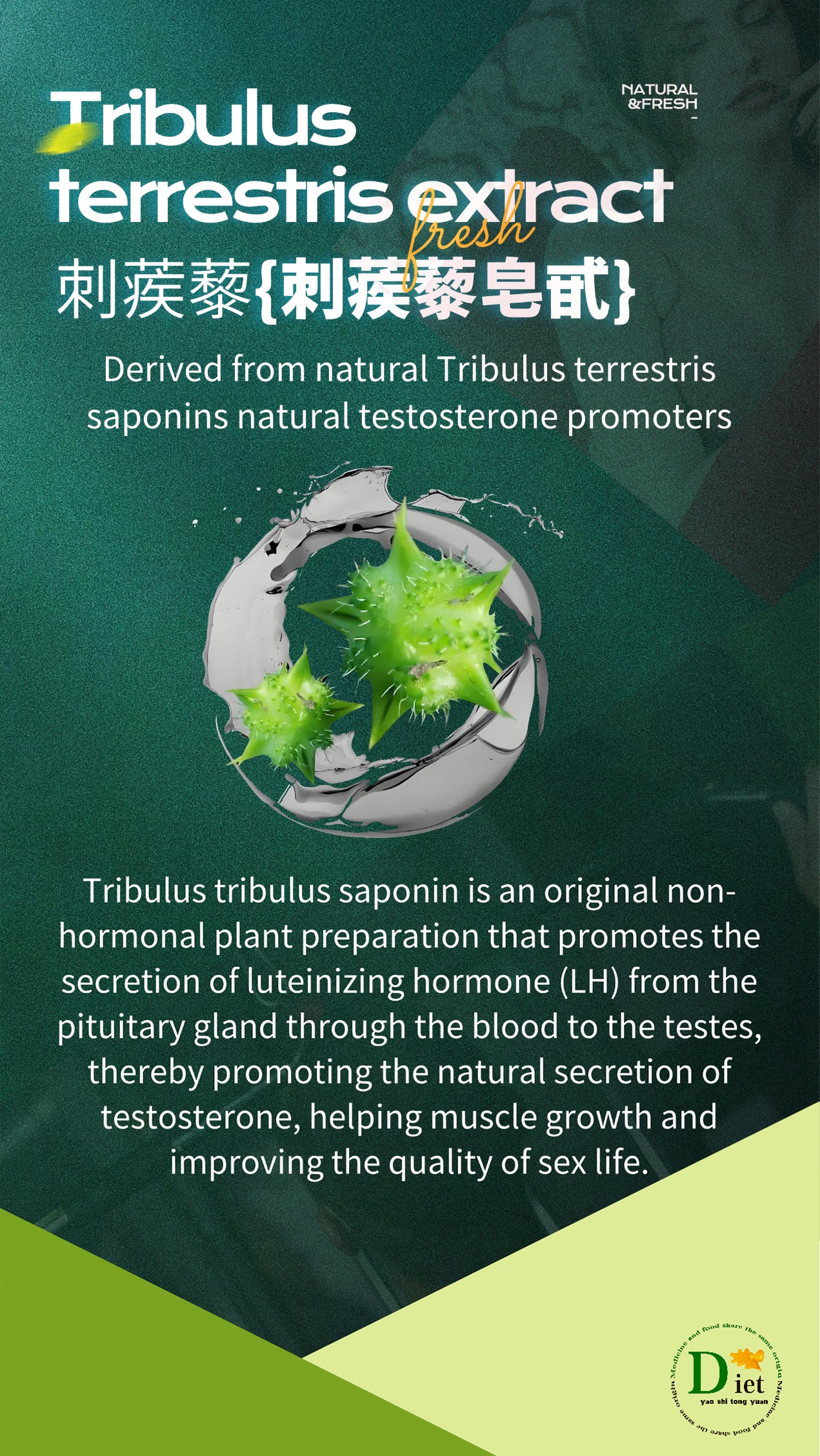 Tribulus terrestris extract