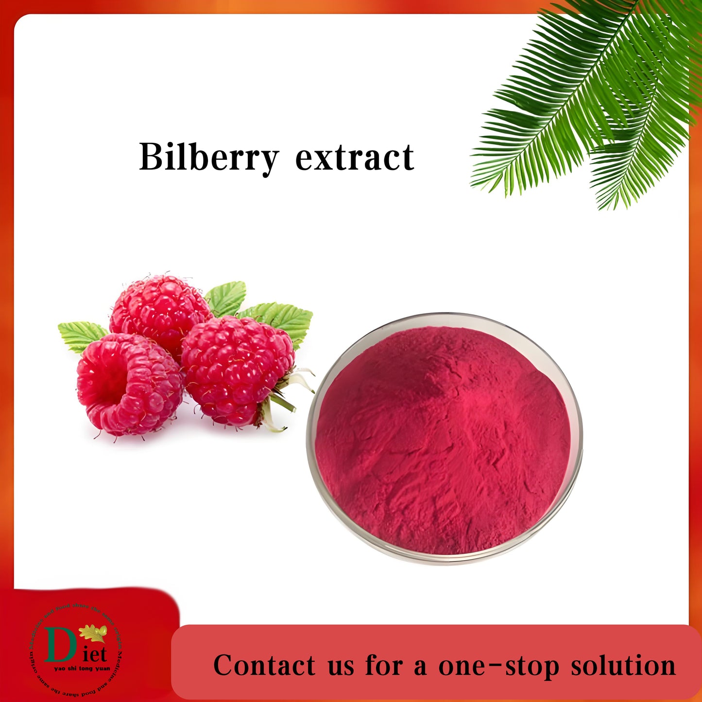 bilberry extract