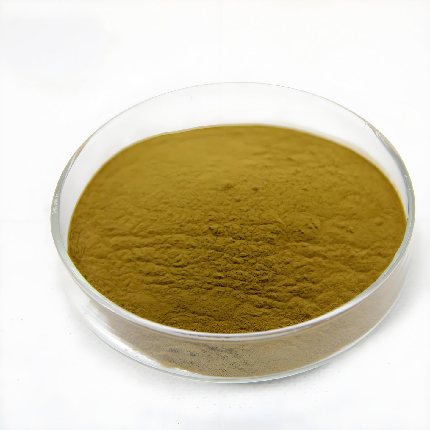 Chinese Dodder Seed Extract